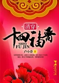 《清穿十四福晋》小说封面