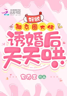 《好欲！被京圈大佬诱婚后天天哄》小说封面