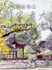 《四合院之闫家老大》小说封面