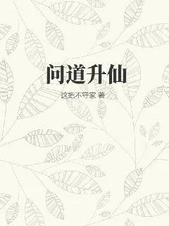 《问道升仙》小说封面