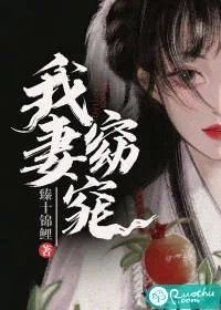 《我妻窈窕》小说封面