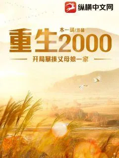 《重生2000：开局暴揍丈母娘一家》小说封面