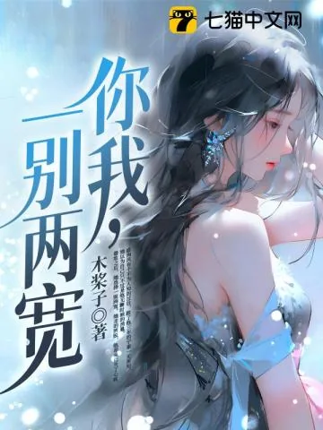 《你我，一别两宽》小说封面