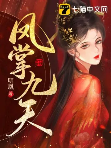 《凤掌九天》小说封面