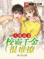 《大佬追妻，校霸千金很难撩》小说封面
