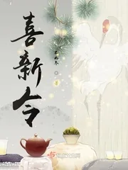 《喜新令》小说封面