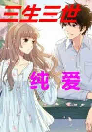 《三生三世之纯爱》小说封面