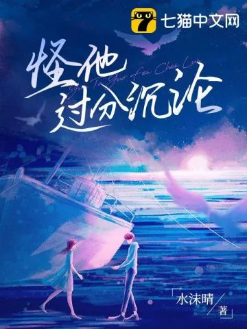 《怪他过分沉沦》小说封面