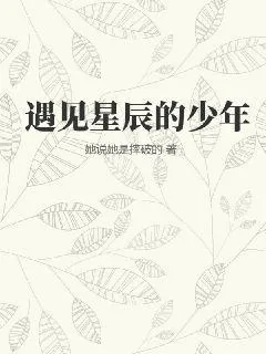 《遇见星辰的少年》小说封面