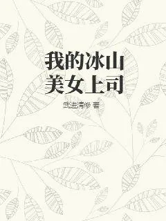 《我的冰山美女上司》小说封面
