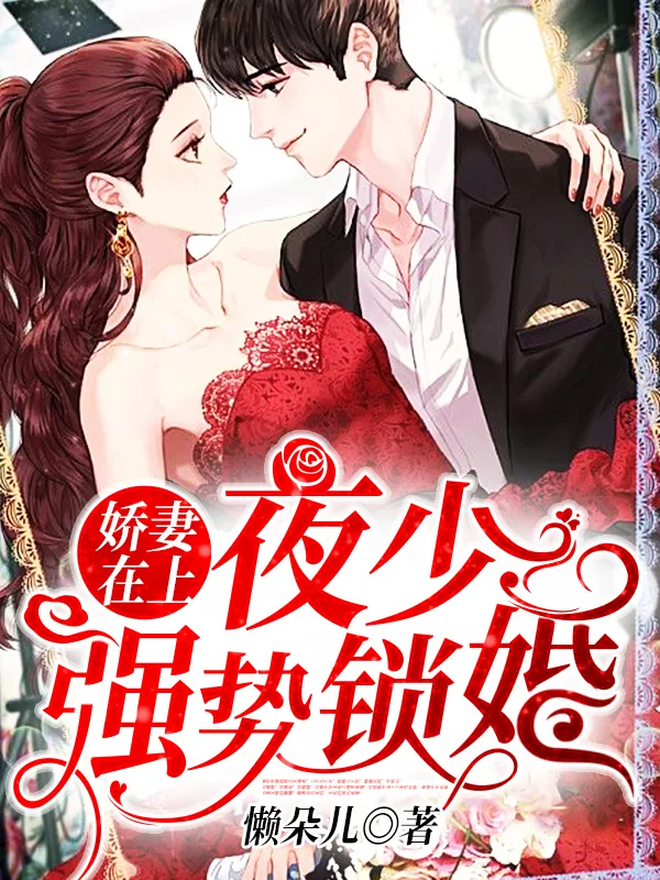 《苏辰苏昊》小说封面