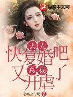 《夫人快复婚吧,总裁又开虐了》小说封面