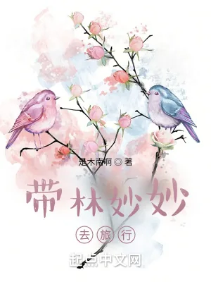 《带林妙妙去旅行》小说封面