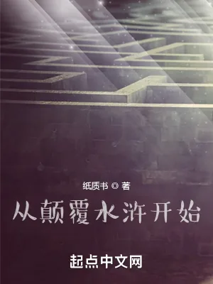 《从颠覆水浒开始》小说封面