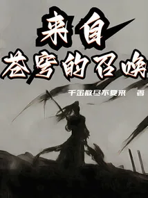 《来自苍穹的召唤》小说封面