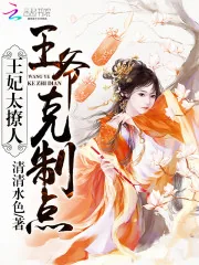 《王妃太撩人:王爷,克制点》小说封面