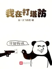 《我在打塔防》小说封面
