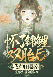 《怀了锦鲤双胎后，我种田暴富》小说封面