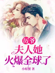 《厉爷又被夫人打脸了》小说封面