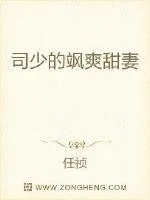 《司少的飒爽甜妻》小说封面