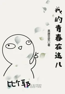 《我的青春在这儿》小说封面