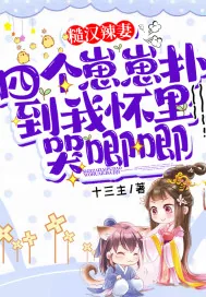 《糙汉辣妻：四个崽崽扑到我怀里哭唧唧》小说封面