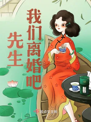 《先生，我们离婚吧》小说封面