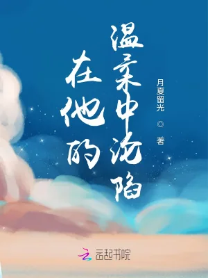 《在他的温柔中沦陷》小说封面