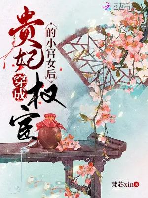 《贵妃穿成权宦的小宫女后》小说封面