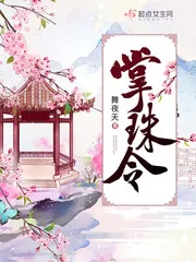 《掌珠令》小说封面