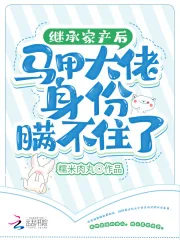 《继承家产后马甲大佬身份瞒不住了》小说封面
