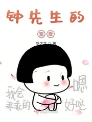 《钟先生的宠爱》小说封面