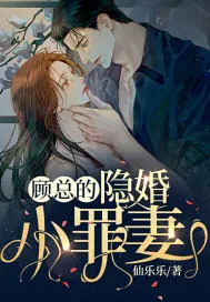 《顾总的隐婚小罪妻》小说封面