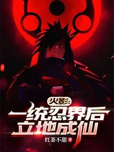 《火影:我能带人穿梭未来忍界》小说封面
