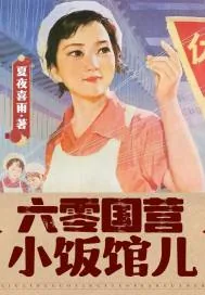 《六零国营小饭馆儿》小说封面