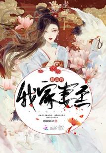 《我家妻主超高冷》小说封面