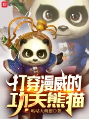 《打穿漫威的功夫熊猫》小说封面