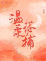 《温柔诱捕》小说封面