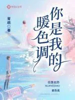 《你是我的暖色调》小说封面