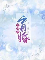 《非典型盲婚》小说封面