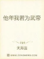 《他年我若为武帝》小说封面