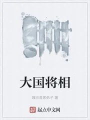 《大国将相》小说封面