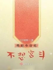 《贵妃今日也不想宫斗》小说封面