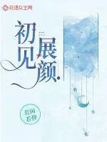 《初见展颜》小说封面