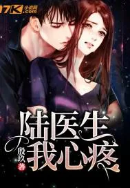《陆医生我心疼》小说封面