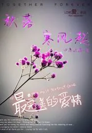 《秋落寒风起》小说封面
