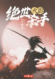 《火影：绝世杀手！》小说封面