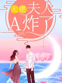《大佬，夫人A炸了》小说封面
