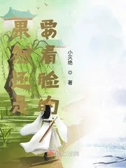 《果然还是要看脸的》小说封面