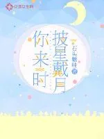 《你来时披星戴月》小说封面